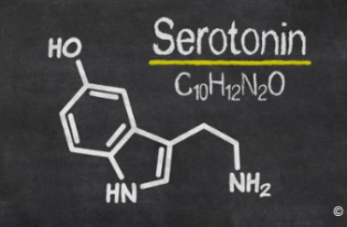 sérotonine-5.PNG